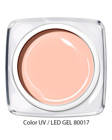 UV / LED Color Gel - blass rosa